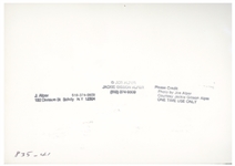 Photograph of Bob Dylan in 1962 by Joe Alper -- With Alper Backstamps
